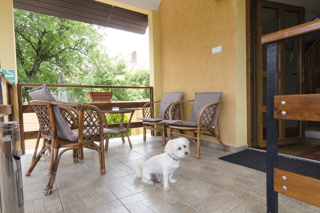Pension Alexia Sibiu Esterno foto